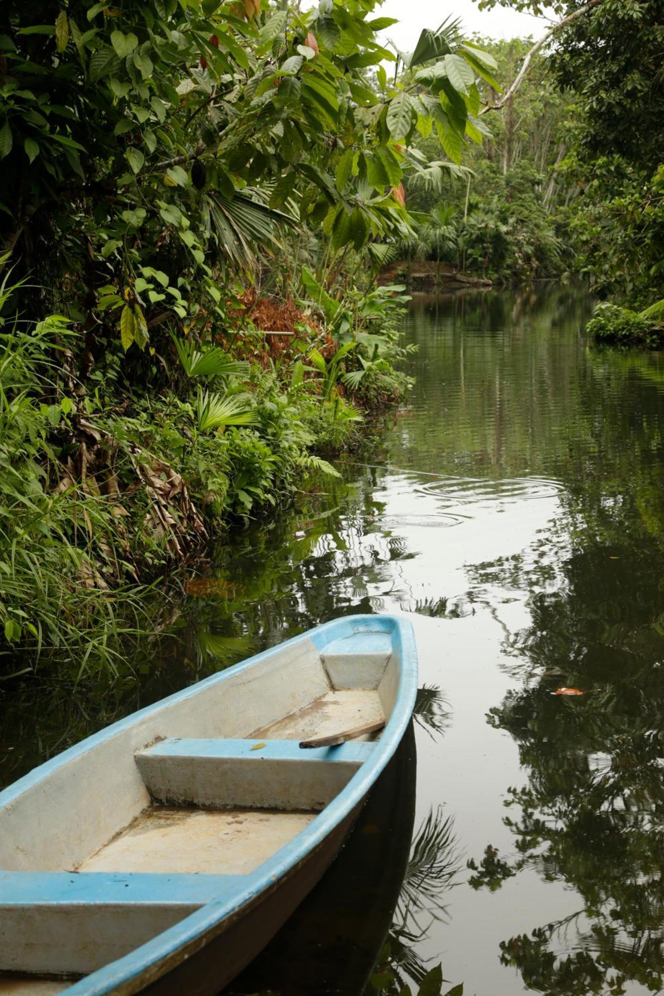 Misahualli Amazon Lodge Exterior foto